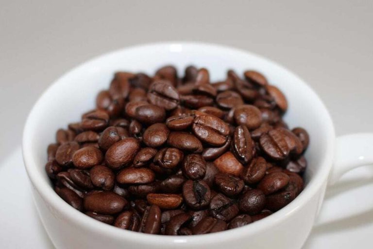 9 Best Burr Coffee Grinders for Oily Beans in 2022