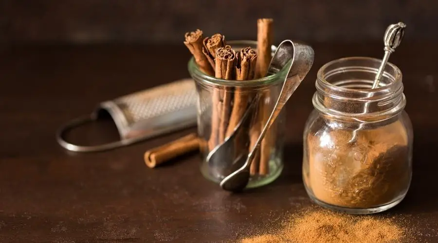 Trendy Coffee Additives - Ceylon Cinnamon