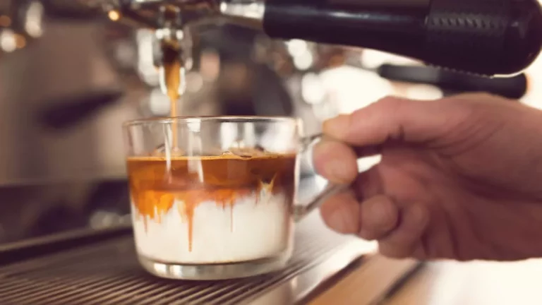 Espresso with Creamer vs Espresso Con Panna Intriguing facts